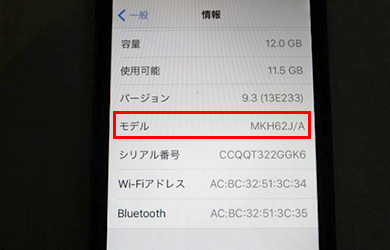 iPod
