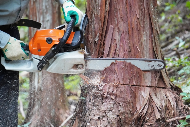 チェーンソーの動作状況