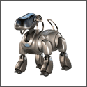 AIBO