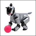 AIBO