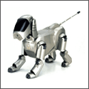 AIBO