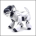 AIBO