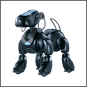 AIBO