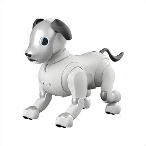 aibo