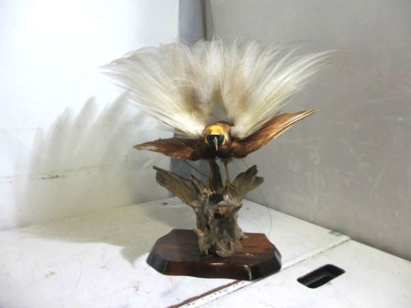 骨董品 骨董品