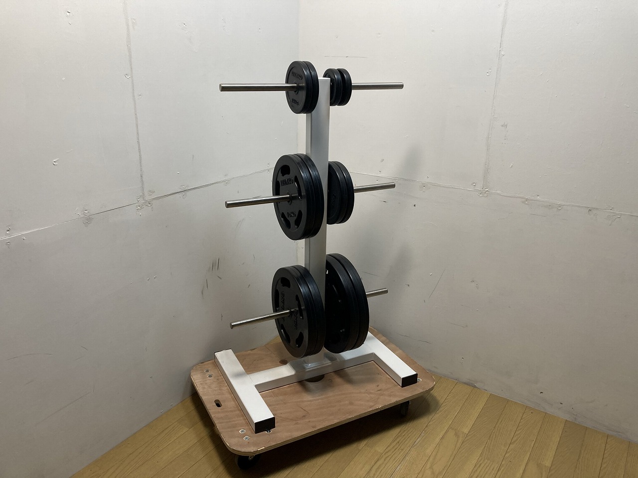 IVANKO　ラバーダンベル　10kg×２セット