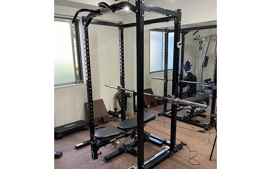 鉄也様専用】タフスタッフ ラットプル RLM-855WS ゴールドジム - メルカリ