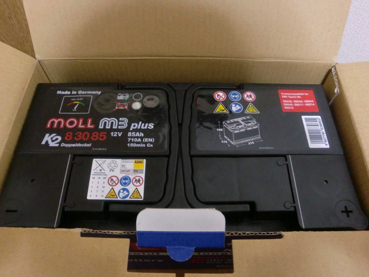 MOLL/モル