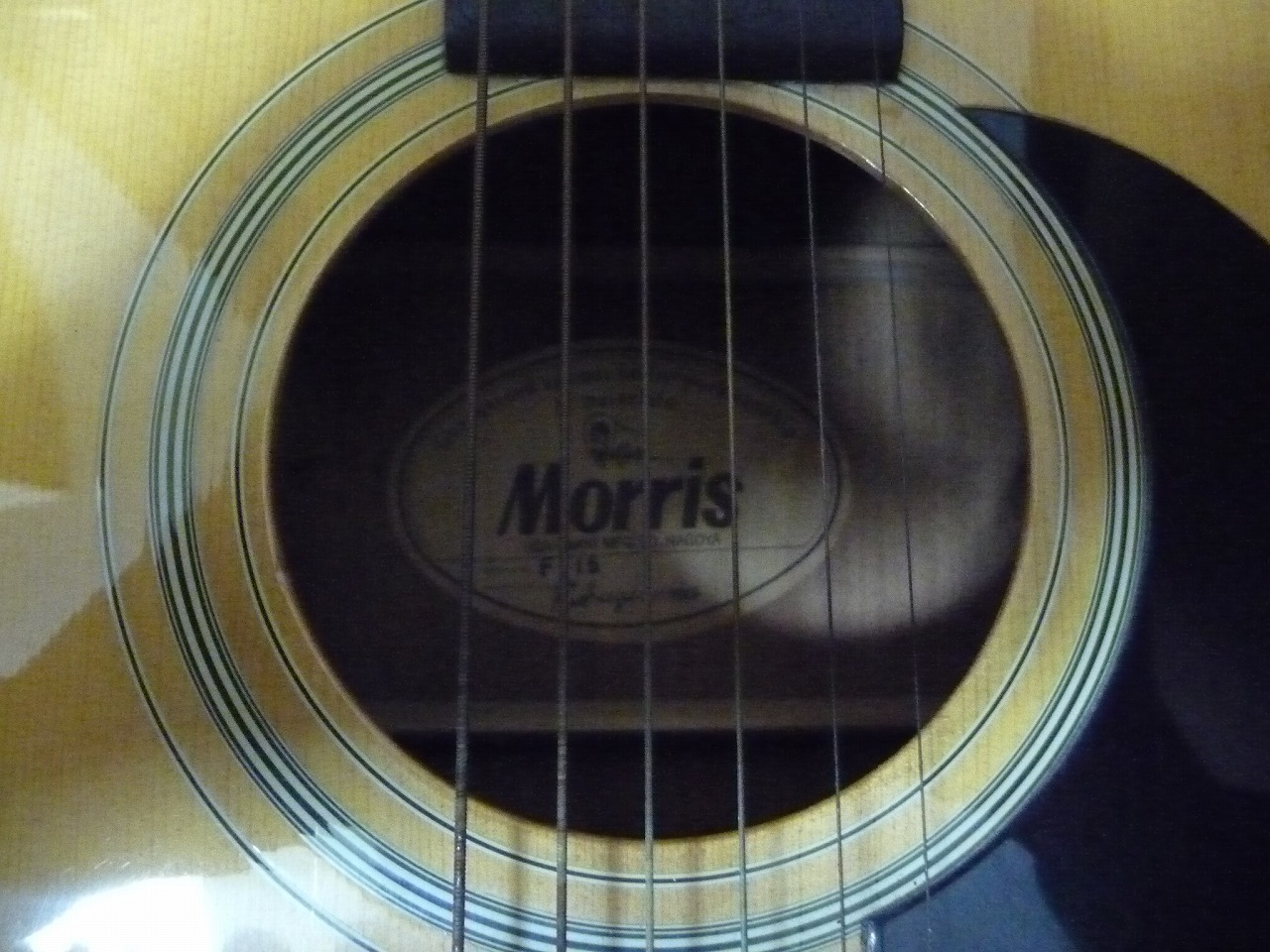 Morris/モーリス