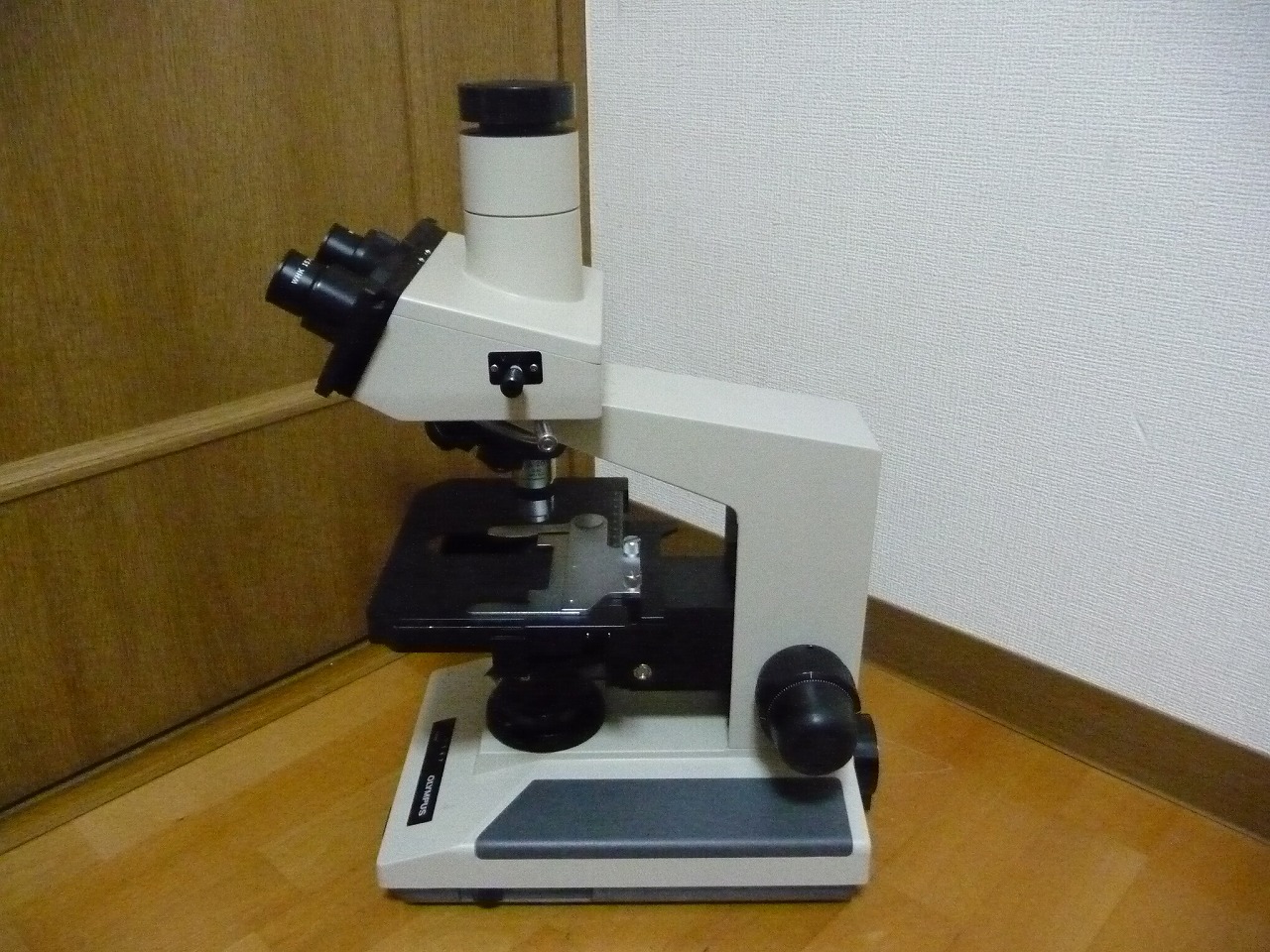 BH-2 BHT