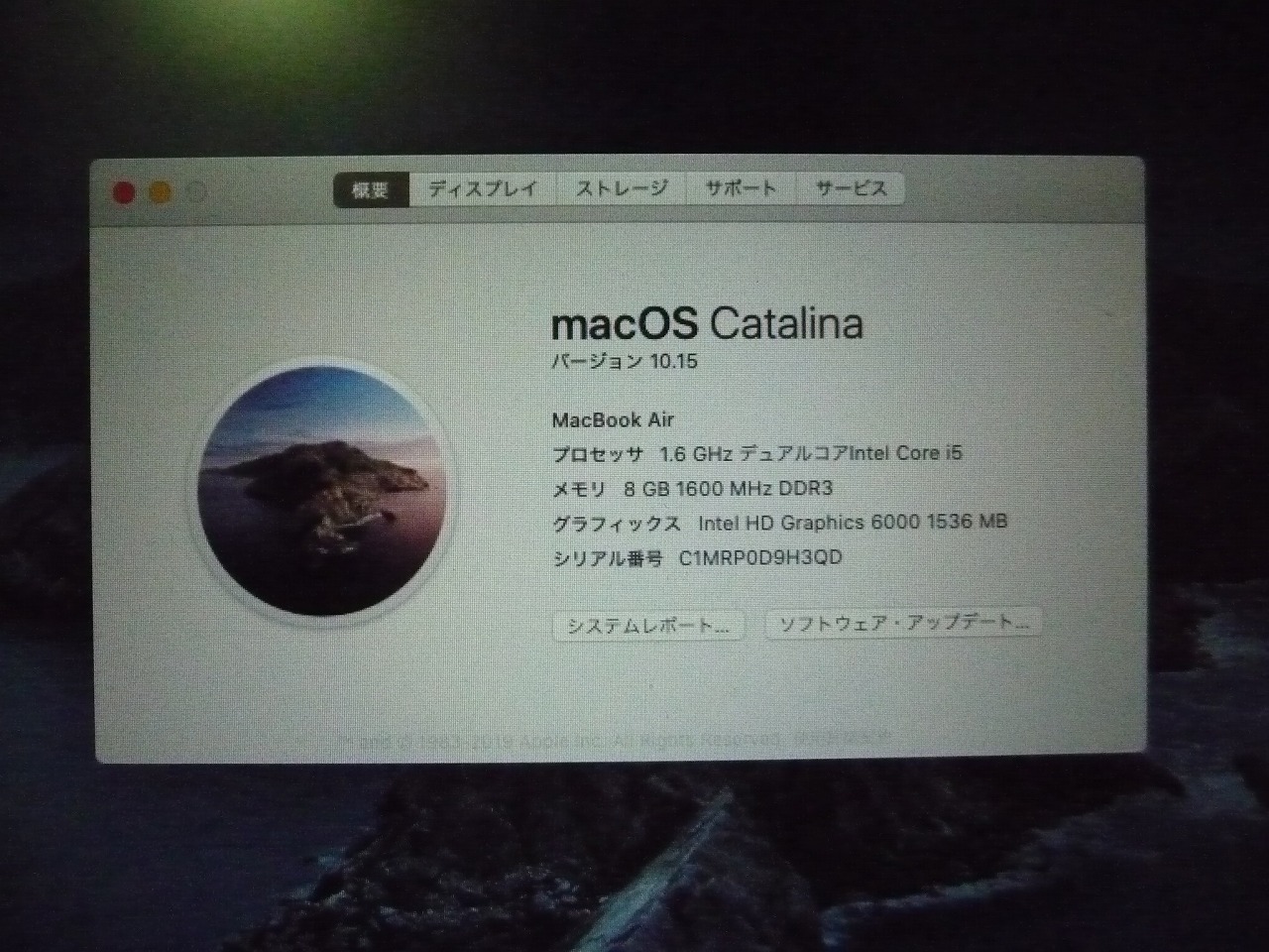 Apple/アップル