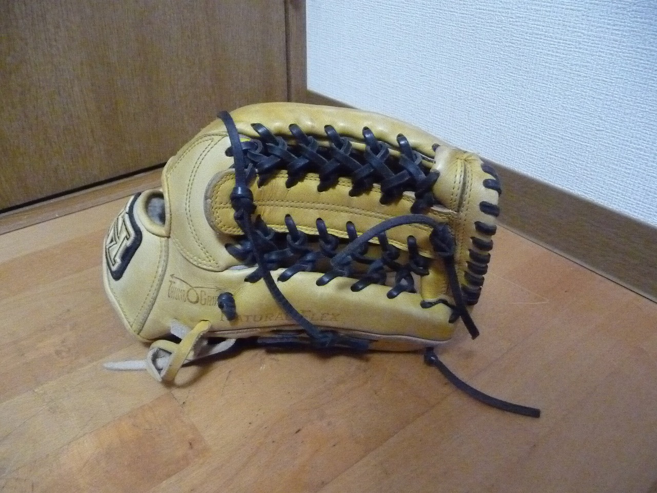 HI-GOLD/ハイゴールド