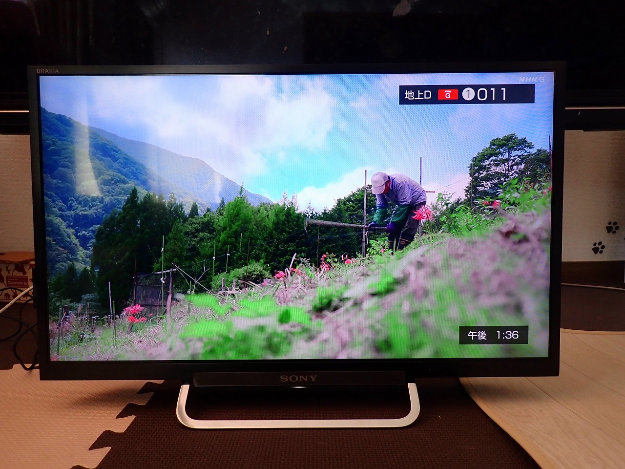 24型テレビ ソニー ブラビア KDL-24W600A