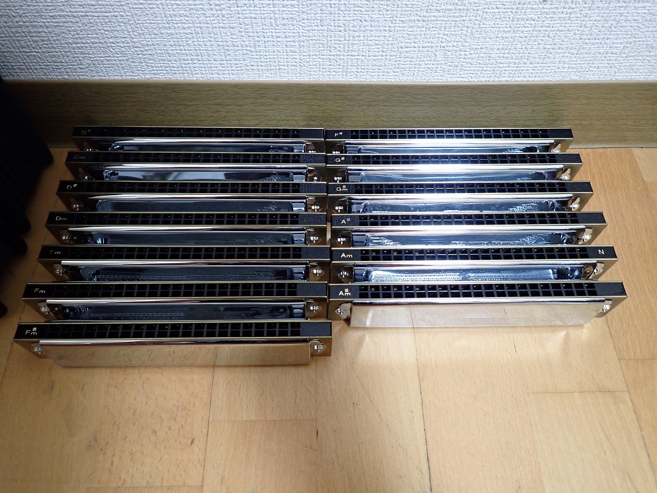 TOMBO/トンボ