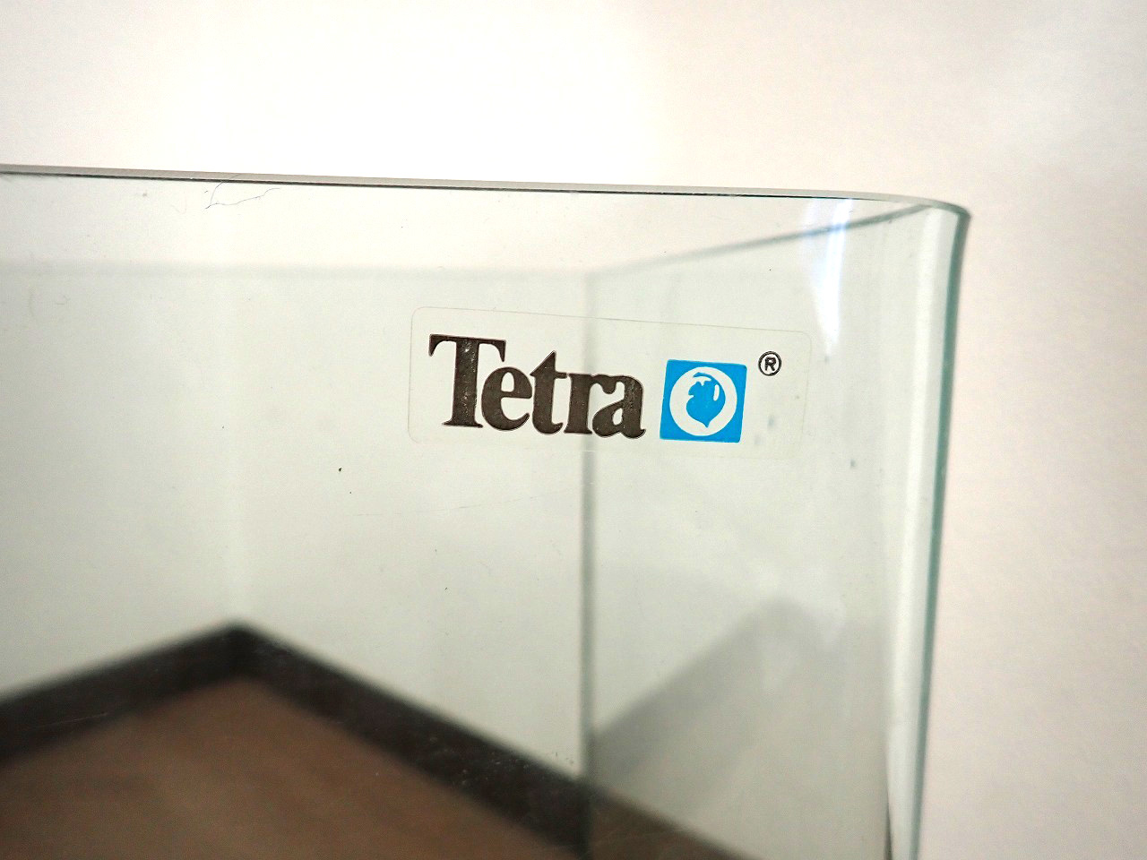 Tetra/テトラ