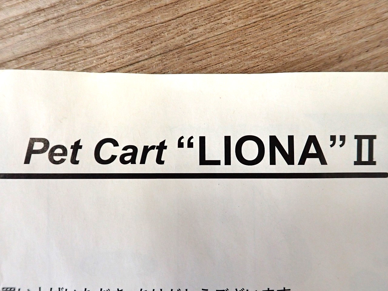 LIONAII
