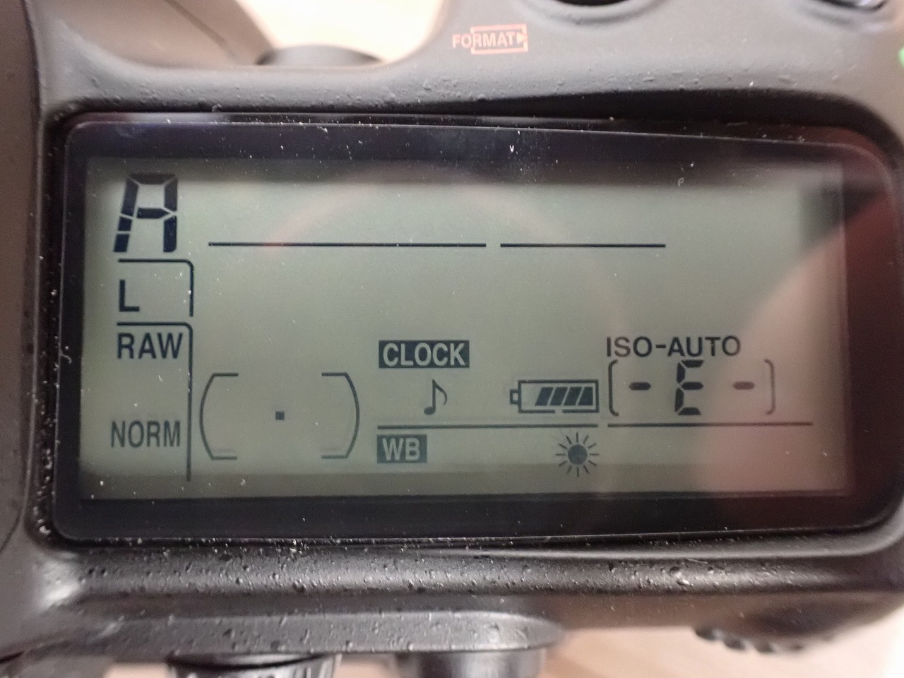 D300S