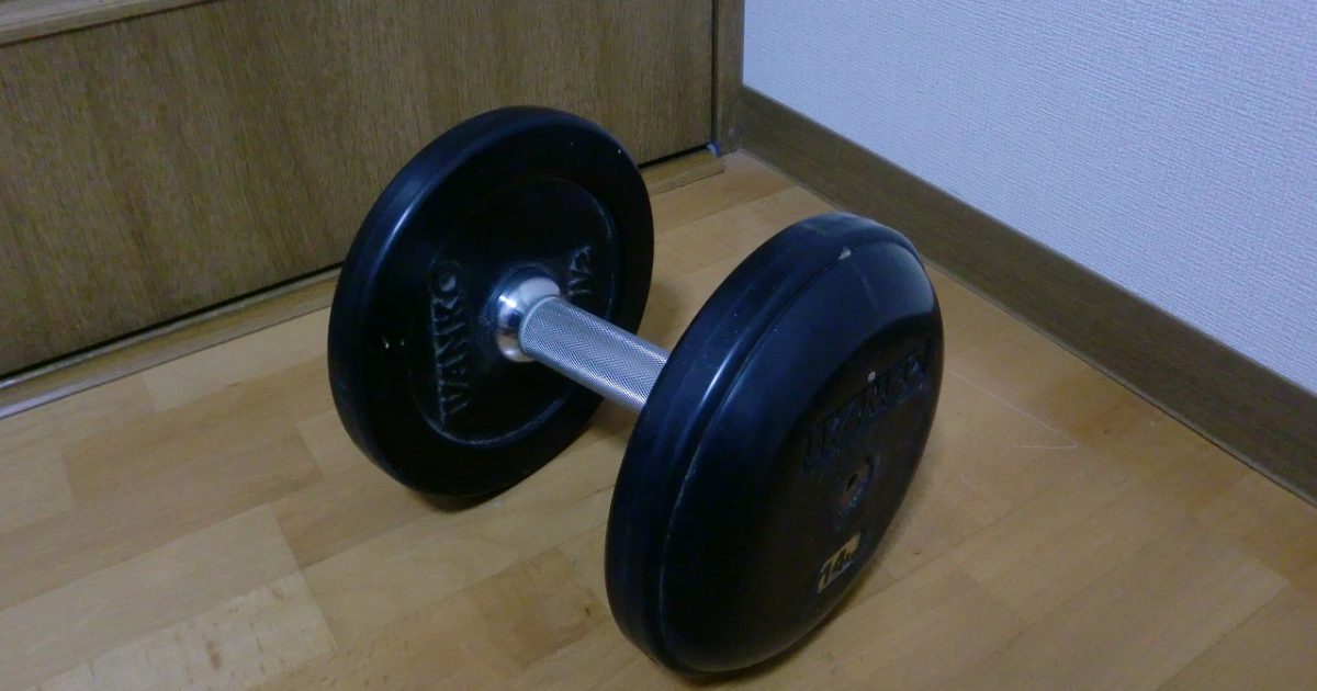 ivanko ラバー ダンベル 固定式 14kg イヴァンコ SDKR ウェイトトレーニング 筋トレ