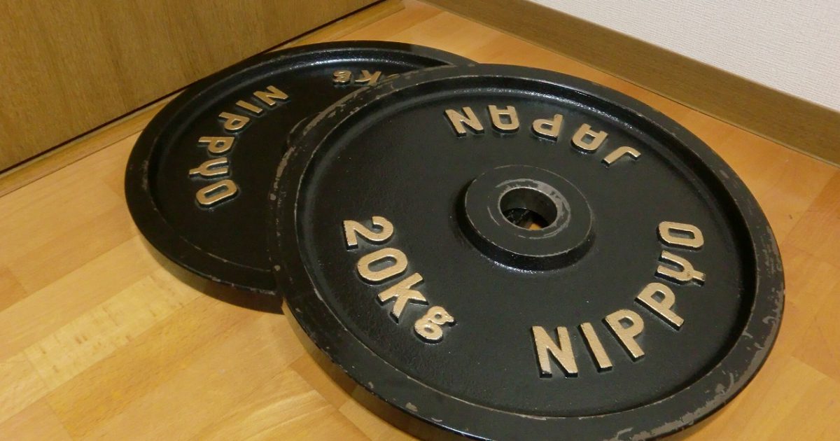 アイアンプレート NIPPYO 20kg 2枚セット 50mm オリンピック 仕様 ベンチプレス ダンベル バーベル ニッピョー