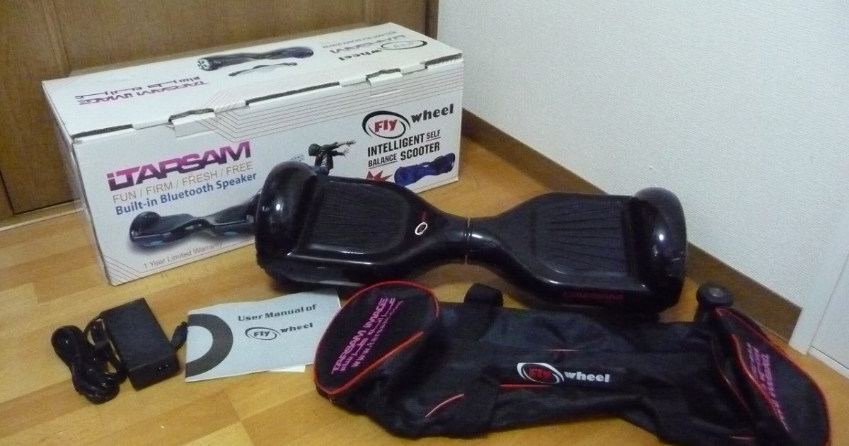 ミニセグウェイ DARSAM IT-599 Fly Wheel フライホイール 10km/h