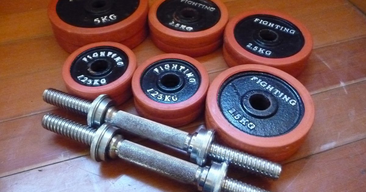 ラバーダンベル FIGHTING ROAD 5kg×2枚 2.5kg×6枚 1.25kg×4枚 シャフト2本 ファイティングロード 合計約32.5kg プレート