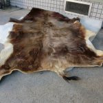 毛皮 なめし 革 皮 約120cm×90cm 剥製 ラグマット 敷物 絨毯 しゅうたん