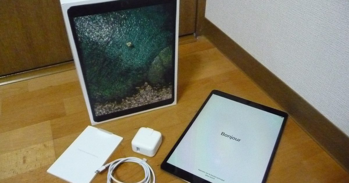 Apple iPad Pro MPDY2J/A 256GB 10.5インチ Wi-Fi スペースグレイ アップル アイパッド プロ タブレット