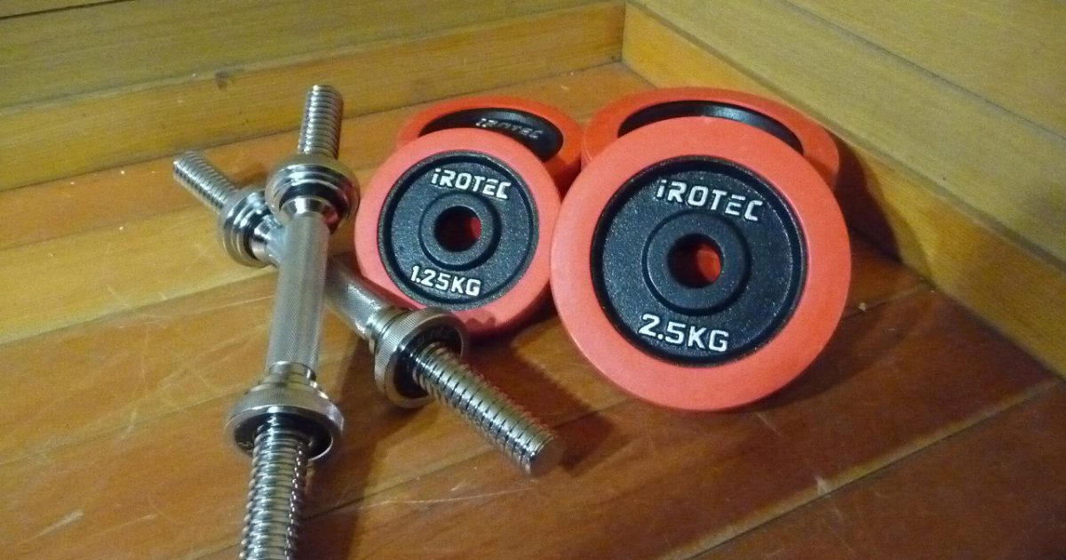 ダンベル iROTEC 2.5kg×5枚 1.25kg×4枚 シャフト×2本 約10kg×2個 アイロテック ラバー アイアン プレート 28mm