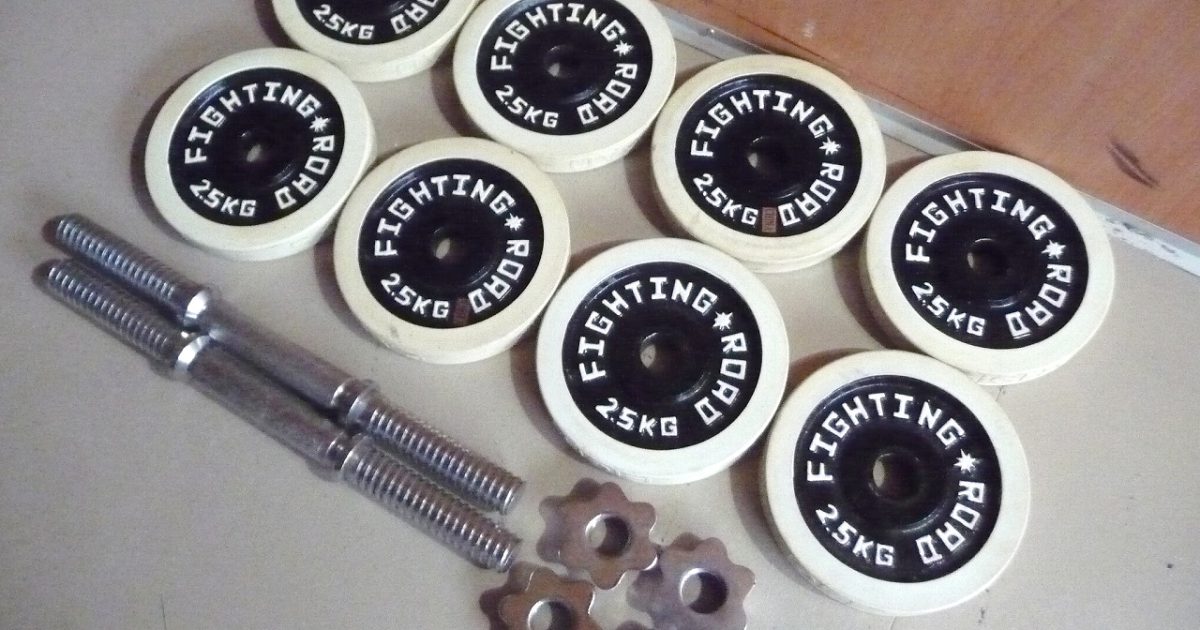 プレート FIGHTING ROAD 2.5kg×8枚 シャフト×2本 合計約23kg 28mm ラバー アイアン ダンベル バーベル ファイティングロード 筋トレ