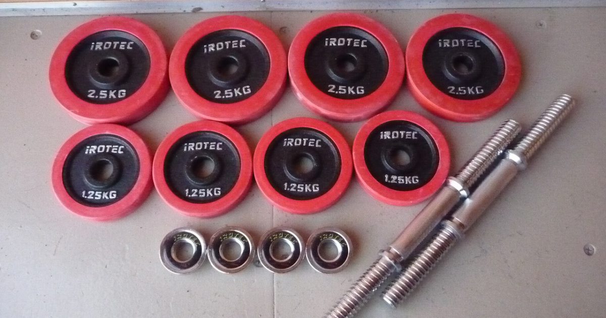 ラバープレート IROTEC 2.5kg×4枚 1.25kg×4枚 シャフト×2本 合計約18kg アイアン ダンベル バーベル 28mm アイロテック