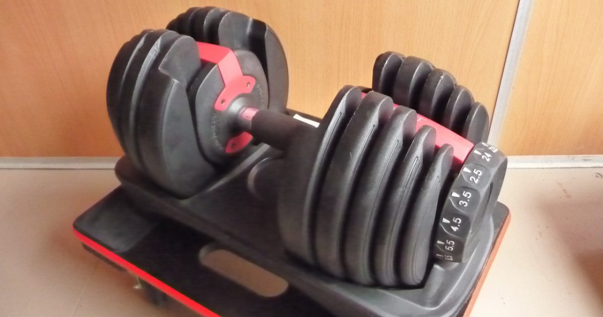 アジャスタブルダンベル motions 24kg 15段階 ダイヤル式 可変式 ダンベル 筋トレ モーションズ