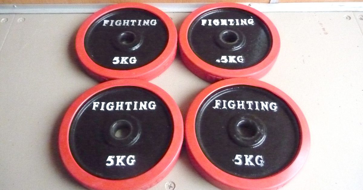 ラバープレート FIGHTING ROAD 5kg×4枚 合計20kg アイアン ダンベル バーベル 28mm ファイティングロード