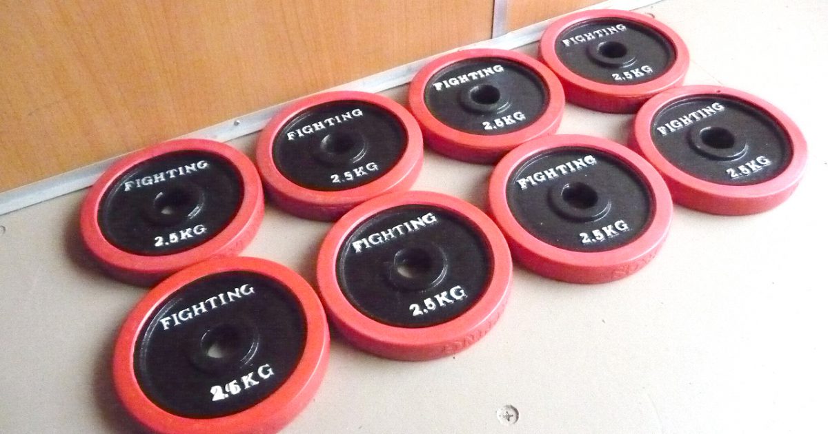 ラバープレート FIGHTING ROAD 2.5kg×8枚 合計20kg アイアン ダンベル バーベル 28mm ファイティングロード