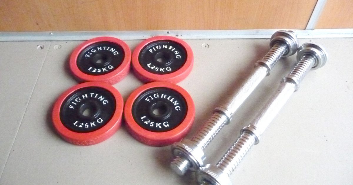 ラバープレート FIGHTING ROAD 1.25kg×4枚 シャフト 2本 合計 約 10kg アイアン ダンベル バーベル 28mm ファイティングロード