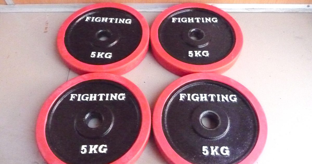 ラバー プレート FIGHTING ROAD 5kg×4枚 合計20kg 28mm アイアン ...