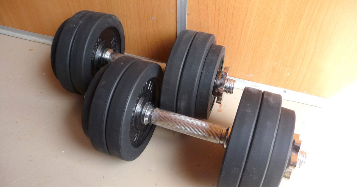ダンベル LEADING EDGE 2.5kg×8枚 1.25kg×4枚 シャフト×2本 合計約 30kg ラバー アイアン リーディングエッジ