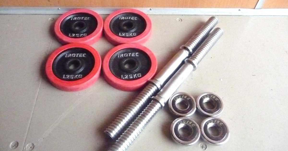 ダンベル iROTEC 1.25kg×4枚 シャフト×2本 約10kg×2個 アイロテック ラバー アイアン プレート 28mm