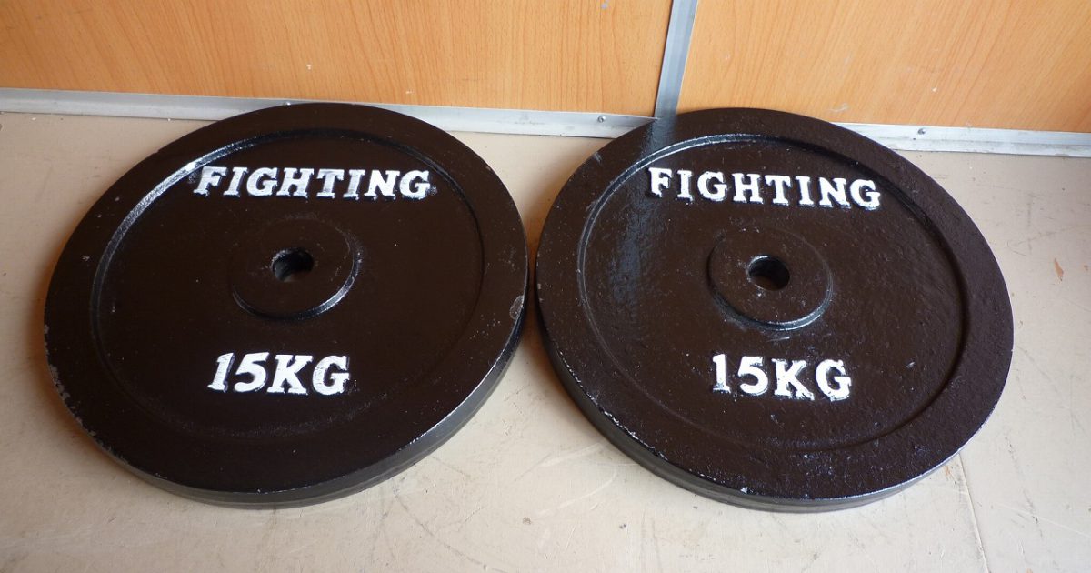 プレート FIGHTING ROAD 15kg×2枚 合計 30kg アイアン ダンベル バーベル ファイティングロード