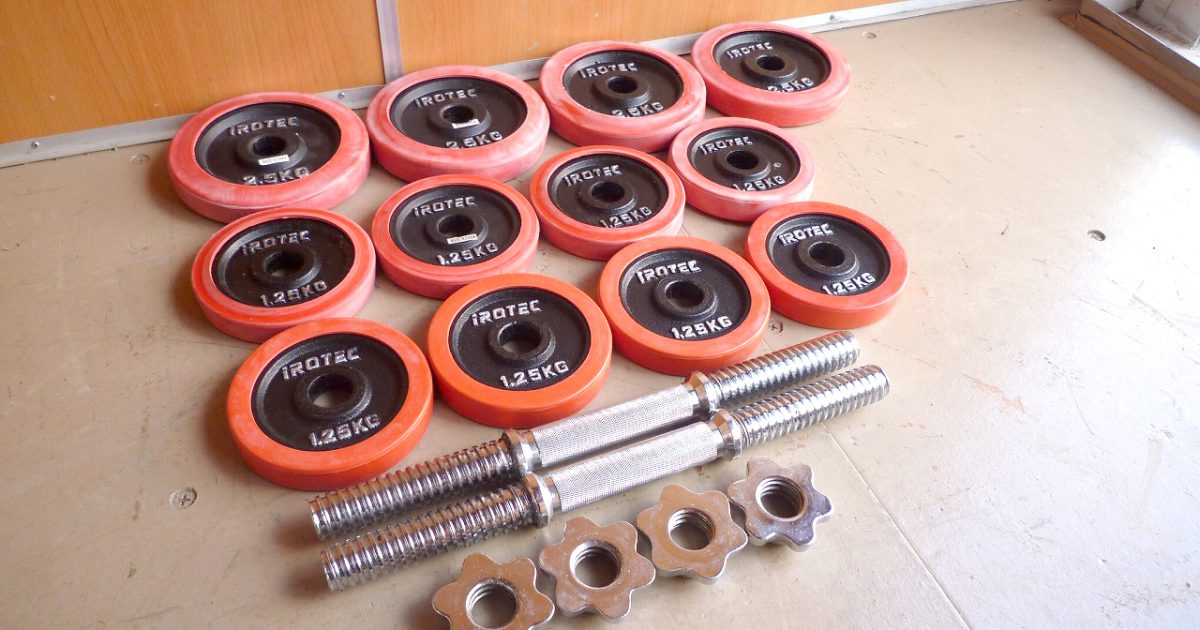 ラバー プレート iROTEC 2.5kg×4枚 1.25×8枚 シャフト×2本 合計約25kg アイアン ダンベル バーベル 28mm アイロテック 筋トレ