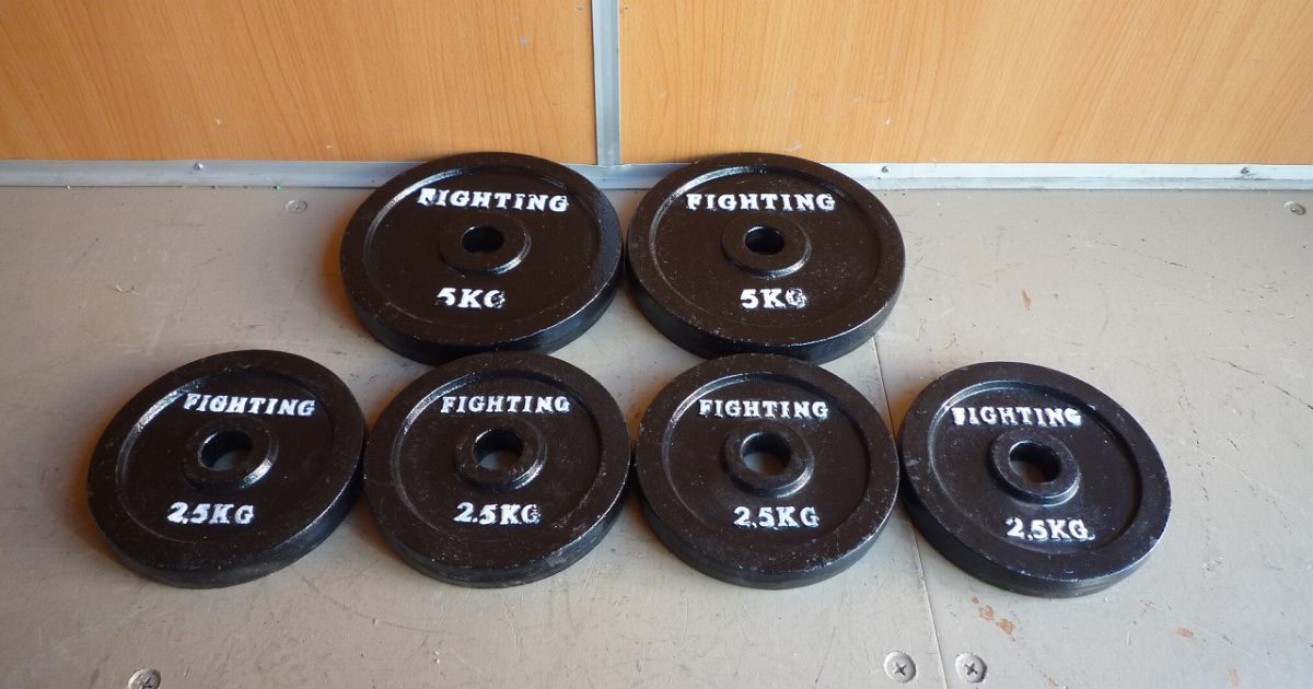 プレート FIGHTING ROAD 5kg×2枚 2.5kg×4枚 合計 20kg 28mm ダンベル バーベル アイアン ファイティングロード