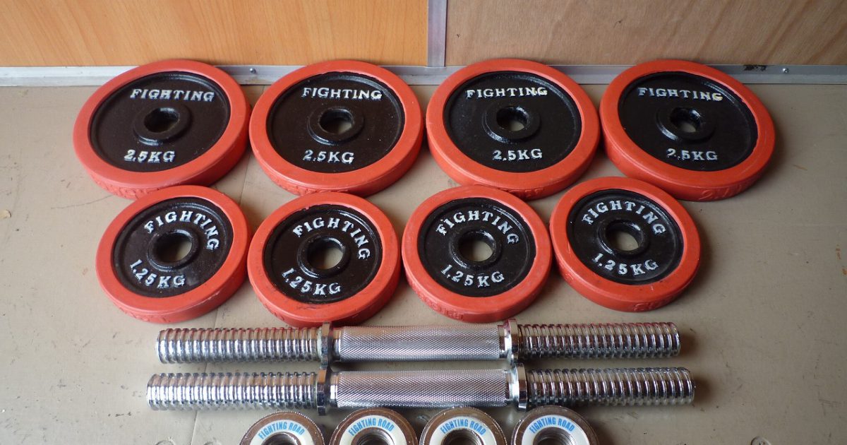 ラバー プレート FIGHTING ROAD 2.5kg×4枚 1.25kg×4枚 シャフト×2本 合計20kg アイアン ダンベル バーベル 28mm ファイティングロード