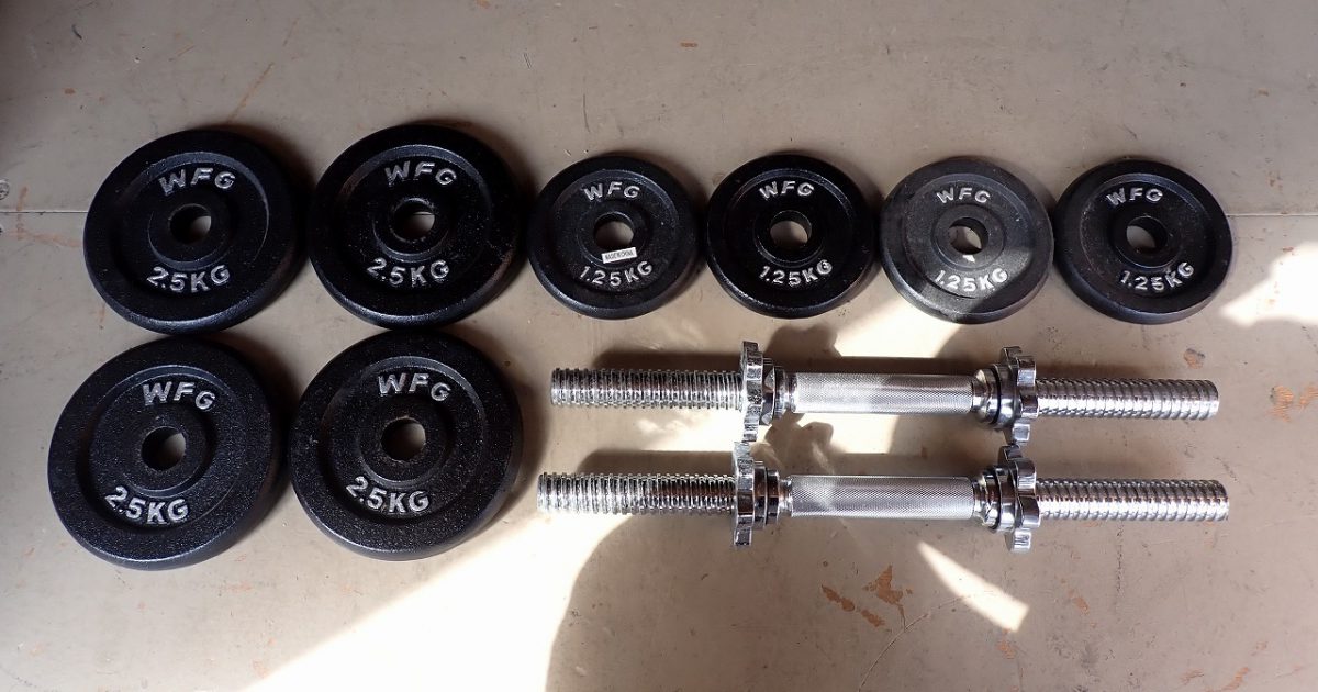 プレート WFG 2.5kg×4枚 1.25kg×4枚 シャフト×2本 合計約 20kg ダンベル バーベル 28mm アイアン ワイルドフィット 筋トレ