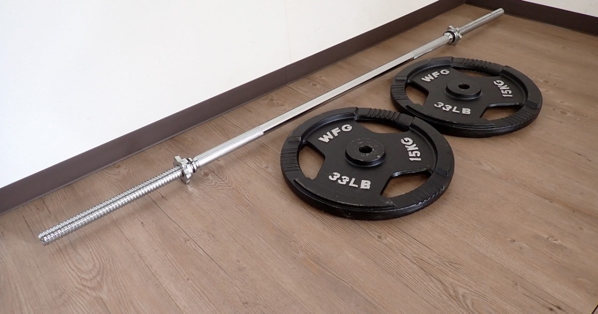 バーベル WFG ワイルドフィット 15kg 33LB プレート 2枚 160cm シャフト 1本 28mm ダンベル アイアン