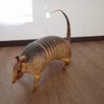 剥製 アルマジロ 体長約40cm