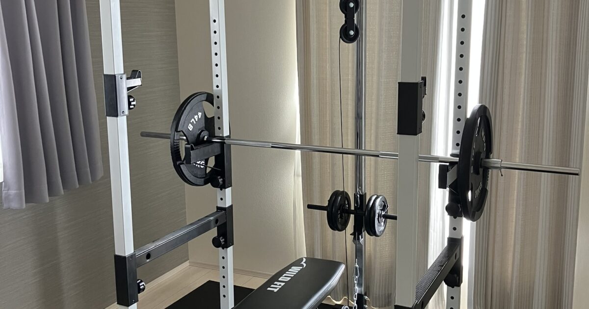 WFG ワイルドフィット パワーラック ラットプルオプション Y049 プレート125Kg インクラインデクラインベンチ付