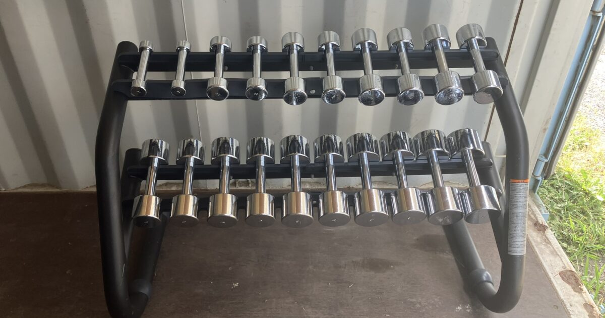 Technogym テクノジム クロムダンベルセット ダンベルラック 1～10kg ペアダンベル フリーウェイト