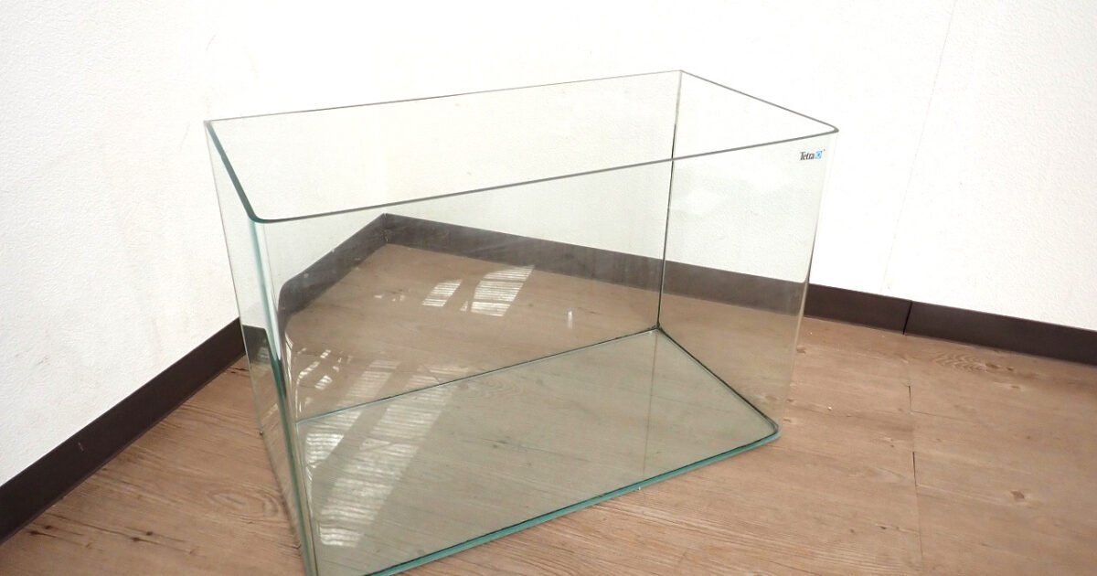 水槽 Tetra テトラ W60×H40×D30cm 約65L アクアリウム 熱帯魚 ガラス水槽 60cm