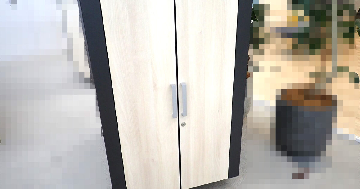 ボックス型静音サーバールーム Schneider Electric SE AR4024A シュナイダーエレクトリック NetShelter CX 24U 19インチ