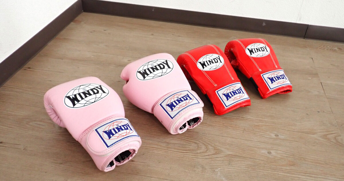 ボクシング グローブ WINDY TBG-2 ウィンディ 2セット 8oz 8オンス トレーニング 親指カットタイプ キックボクシング