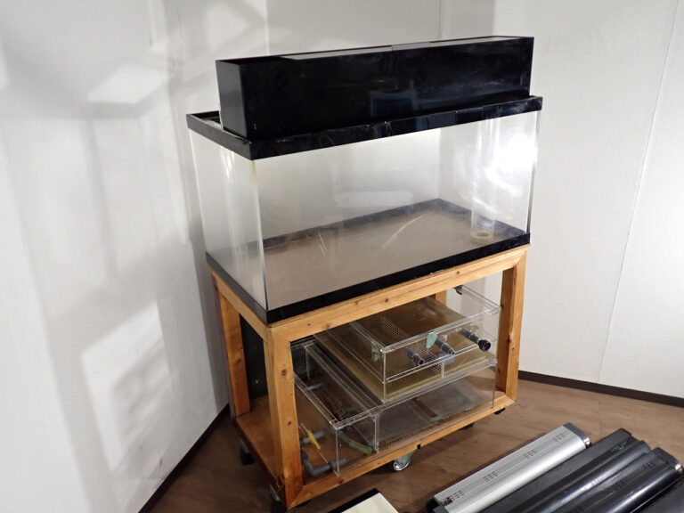 アクリル水槽セット ZENSUI KOTOBUKI NISSHO GEX CL-500 ゼンスイ 寒流 水槽クーラー 浄水器 フィルター 20形 ライト 魚 水草